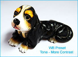 Dog1B.jpg (18593 bytes)