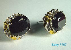 F707Ear.jpg (15765 bytes)