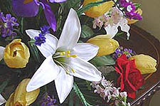 Flower_225.jpg (21596 bytes)