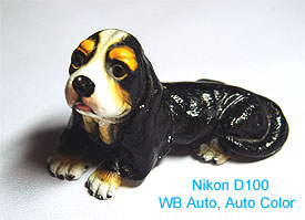 NikonWBAuto.jpg (16150 bytes)