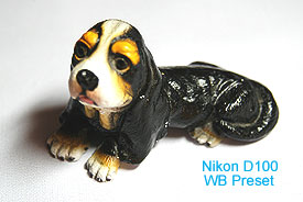 NikonWBPreset.jpg (14351 bytes)