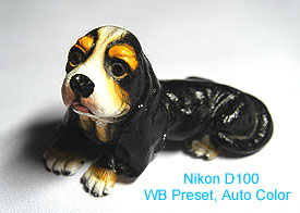 NikonWBPreset2.jpg (15097 bytes)