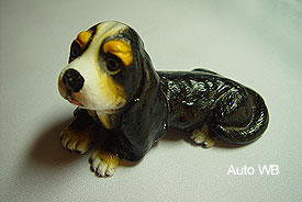 Pic101.jpg (13150 bytes)