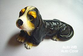 Pic102A.jpg (13866 bytes)