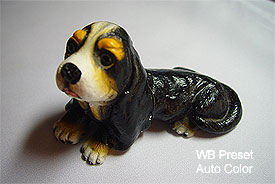 Pic104.jpg (14156 bytes)